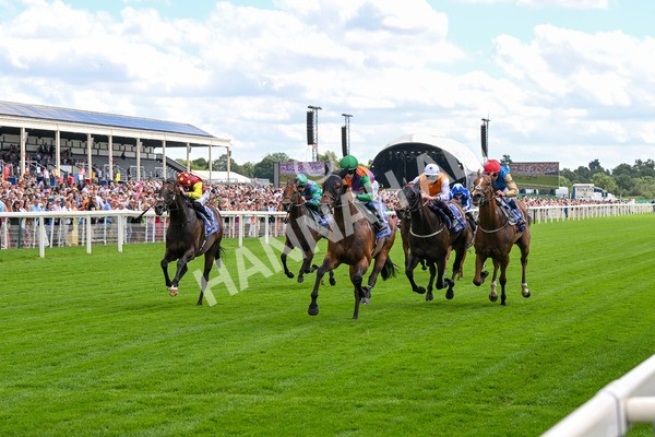 280625-Race 2-Quinault-0071 - Race 2 2.25pm Al Basti Equiworld Dubai Criterion Stakes