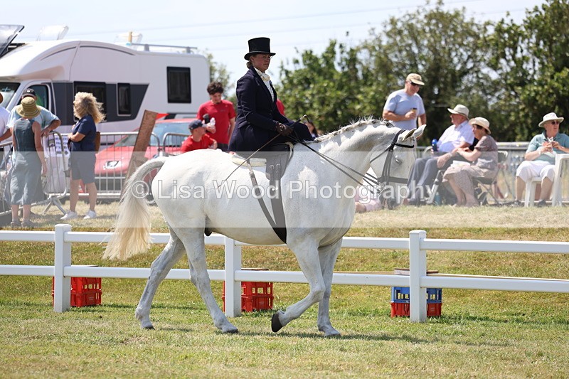 3E7A9575 - Class 13: Side Saddle