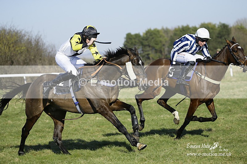 PtP 270222 101 - South & West Wilts Point-to-Point Larkhill 27/02/22