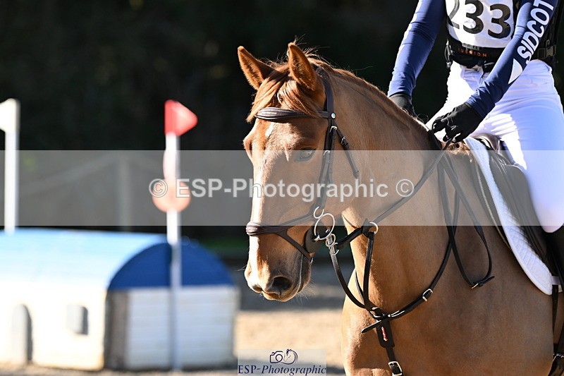 250302A-102546-01484 - Cls 01 70-75cm