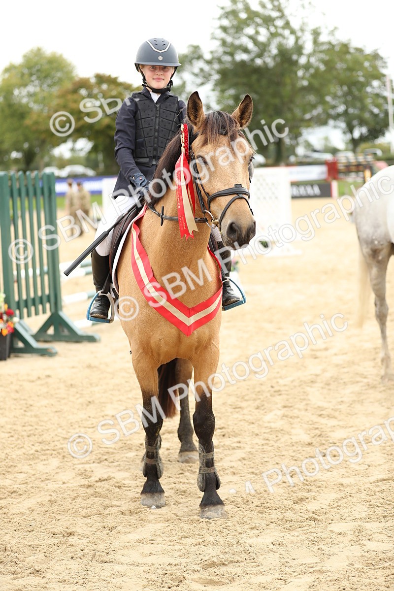 SBM_63167 - Supreme championship 75cm 80cm