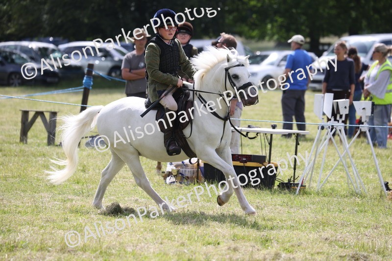20260614-0729 - Class 20 - Beginners Working Hunter Pony