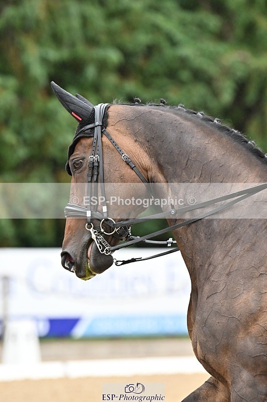 240811-110647-05092 - 113-Deborah.Randall-WillowX11