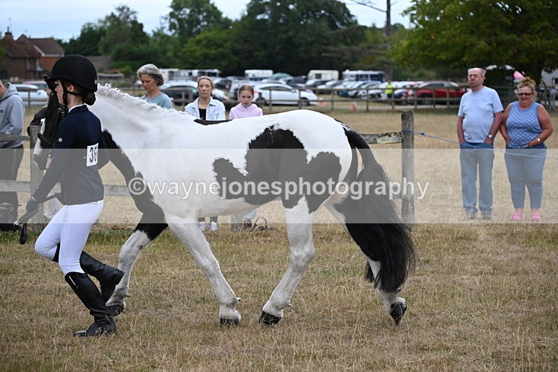 WJ6_8106 - Class 10 Coloured in Hand