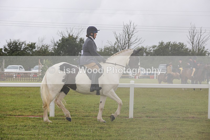 1X9A2991 - Class 26: Ridden Plaited Coloured Pony
