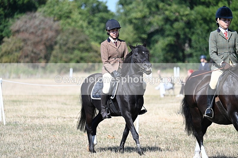 WJ7_3390 - Class 9 Mountain & Moorland Ridden
