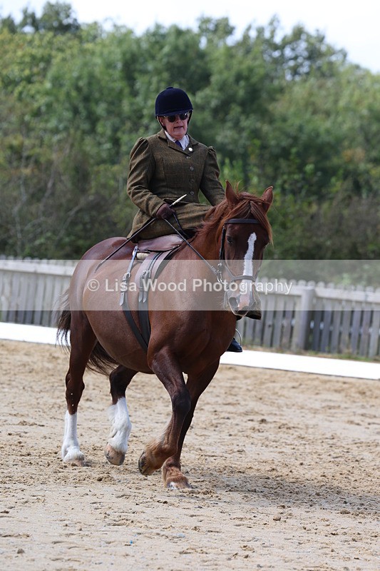 3E7A3608 - Class 7:  Preliminary Music