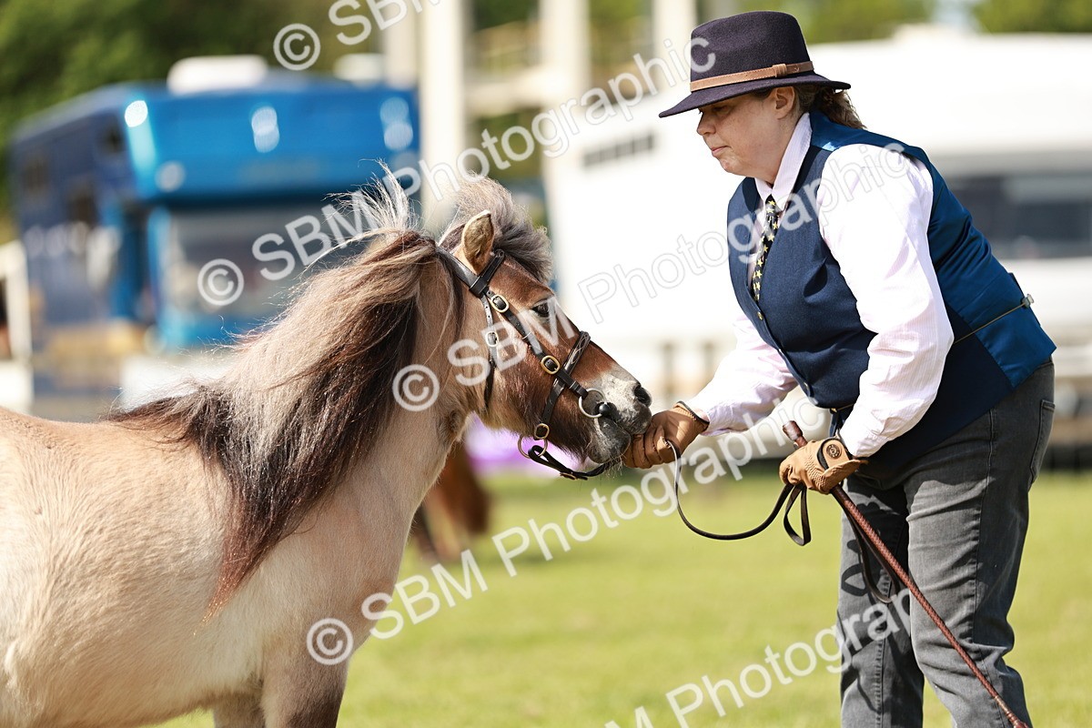 SBM_01776 - Class 14-23 - Mountain & Moorland In Hand Non Welsh