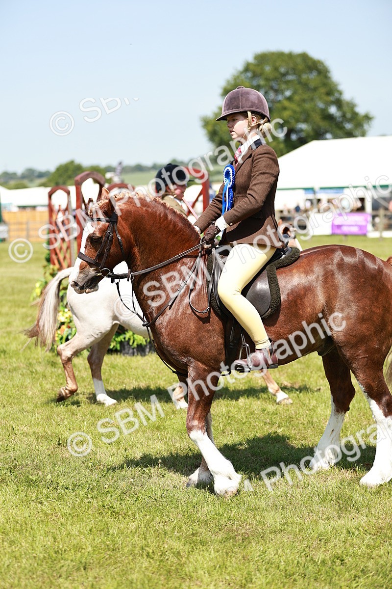 SBM_15812 - Class 108-109 - BSPS LIHS Open Gradle & Nursery Stakes