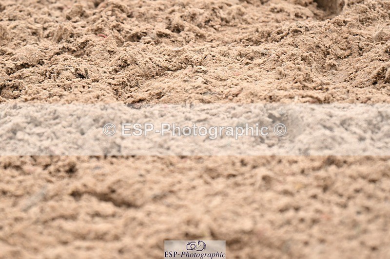 250424-144409-05792 - Cls 41 Ponies - Mini Tour