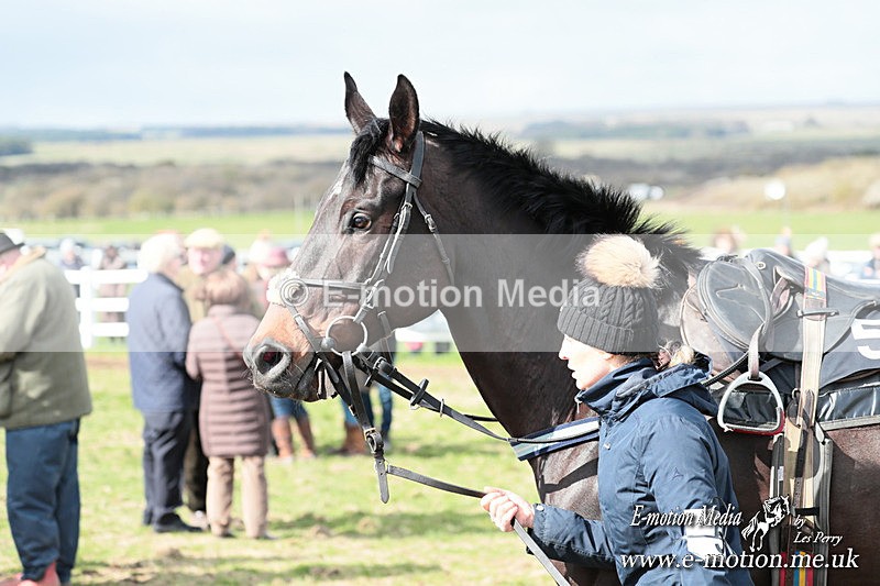 PtP 230324 320 - Tedworth Hunt PtP Larkhill Raccourse 23rd March 2024