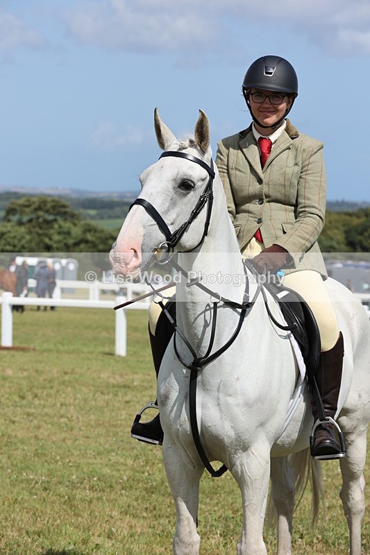 JPP_2465 - Class 19: Working Hunter 60cm