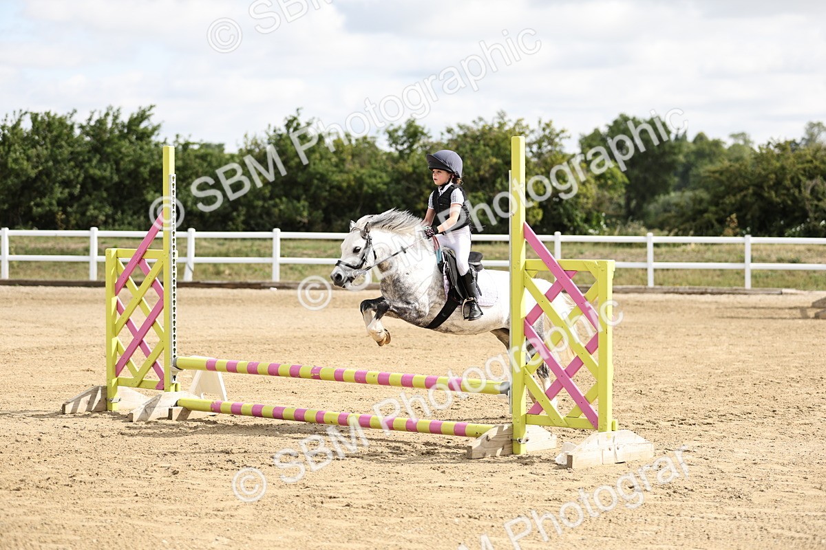 SBM_003488 - 50cm showjumping