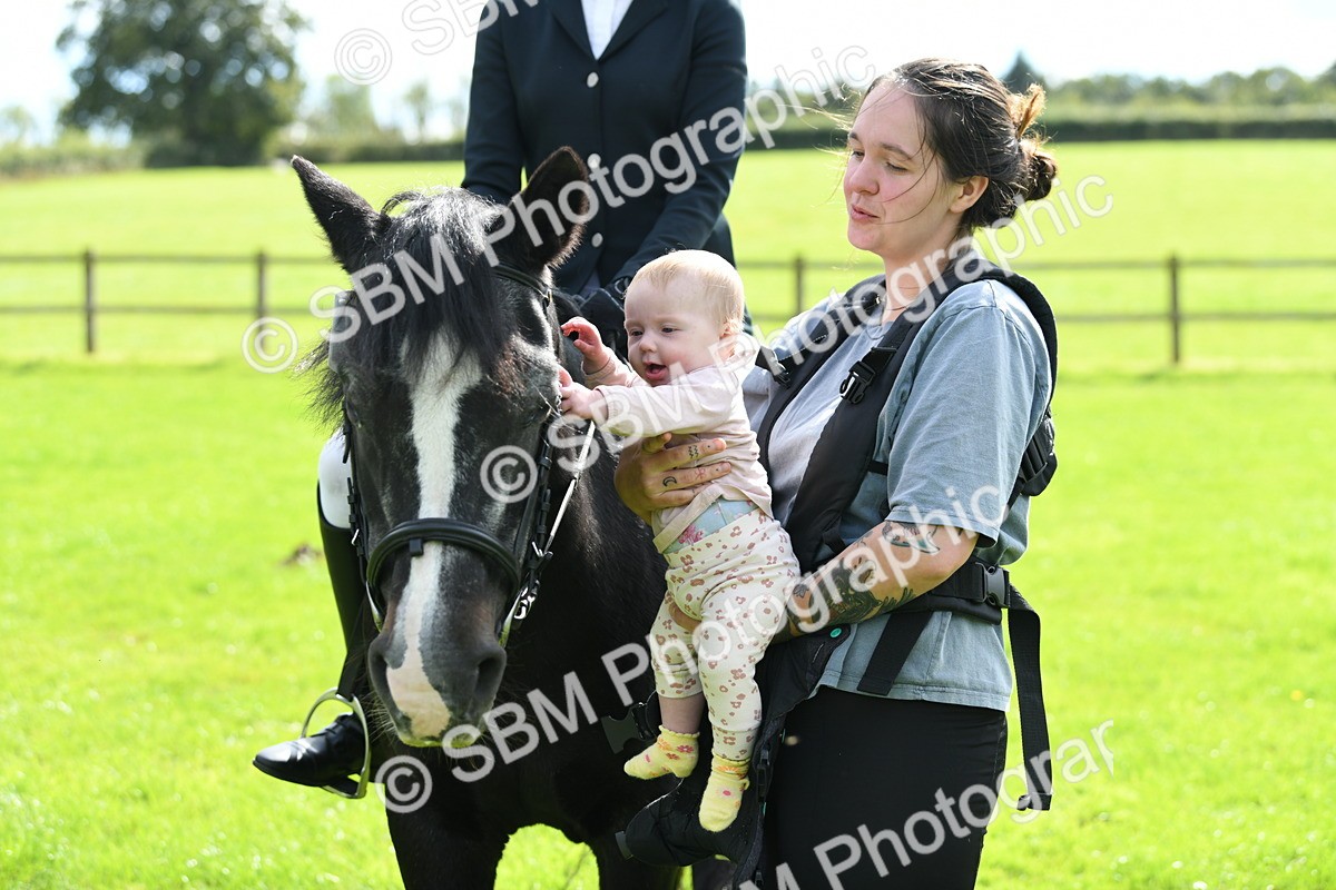 SBM_46822 - S12 - Family Horse & Pony