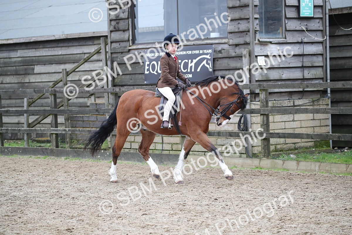 SBM_005898 - Class 10-13 - RIHS Small Large Breeds