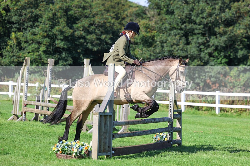 3E7A7741 - Class 2: Open Working Hunter pony