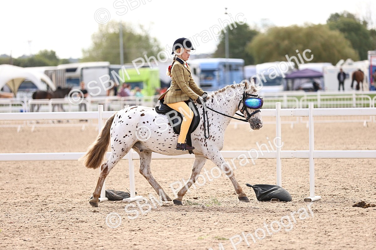 SBM_12837 - Class 409 - Grassroots Ridden - Pony