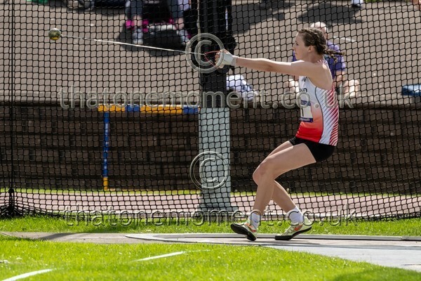 SIAB23-912867 - Field Female Set One