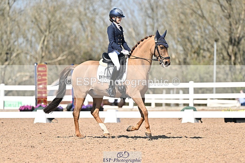 250404-134220-06450 - 061-Violet.Hawkins-DZL.Royal.Sunrise