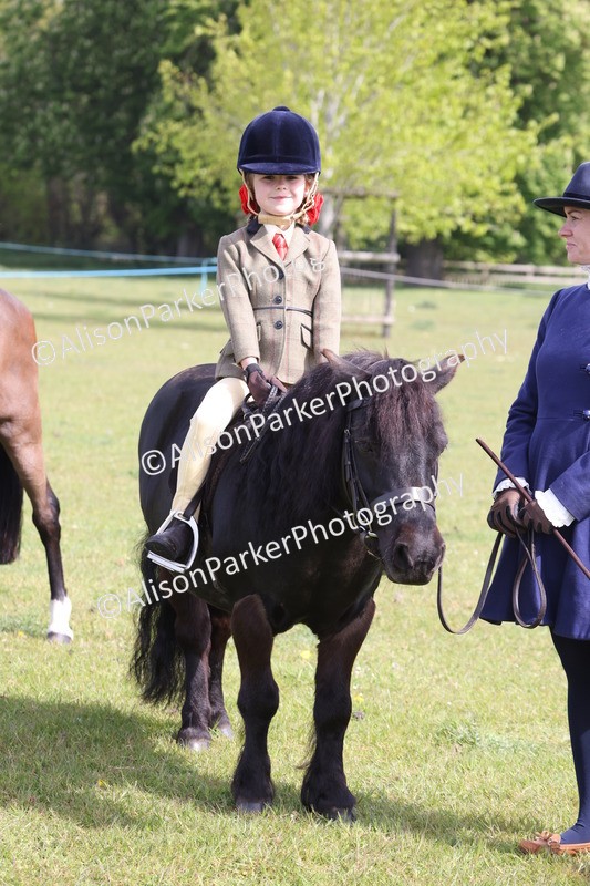 20260426-2506 - Class 31 - Leading Rein