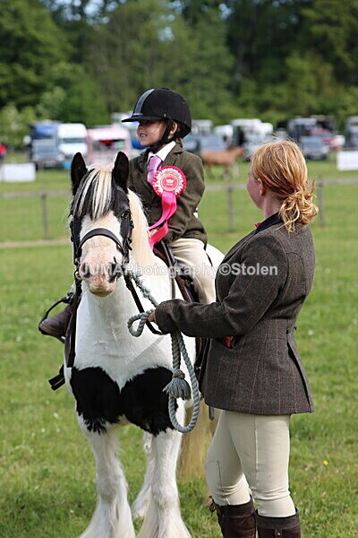 IMG_2349 - Working Hunter