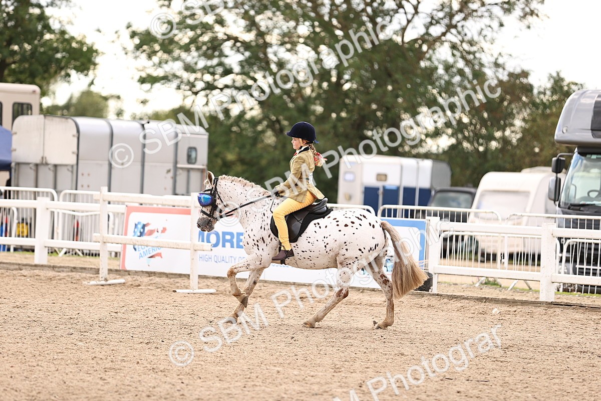 SBM_18070 - Class 422 - Equitation (Best Rider) Jnr