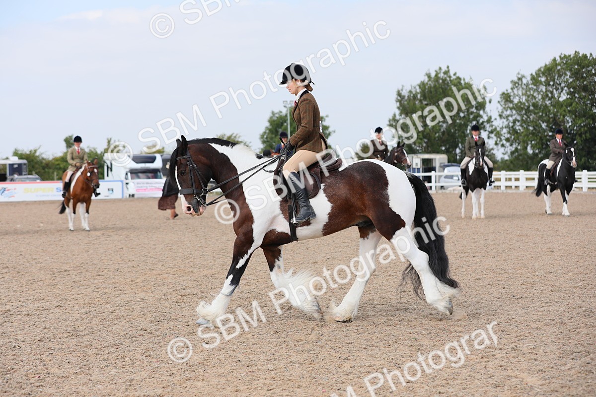SBM_13435 - Class 308 Ridden Coloured Horse