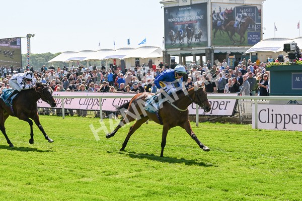 160525-Race 1-Secret Hideaway-6087 - Race 1 2.10pm Clipper EBF Marygate Fillies' Stakes