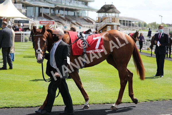 yr13052021r1-3 - Race 1 1.40pm The Matchbook Betting Exchange Stakes