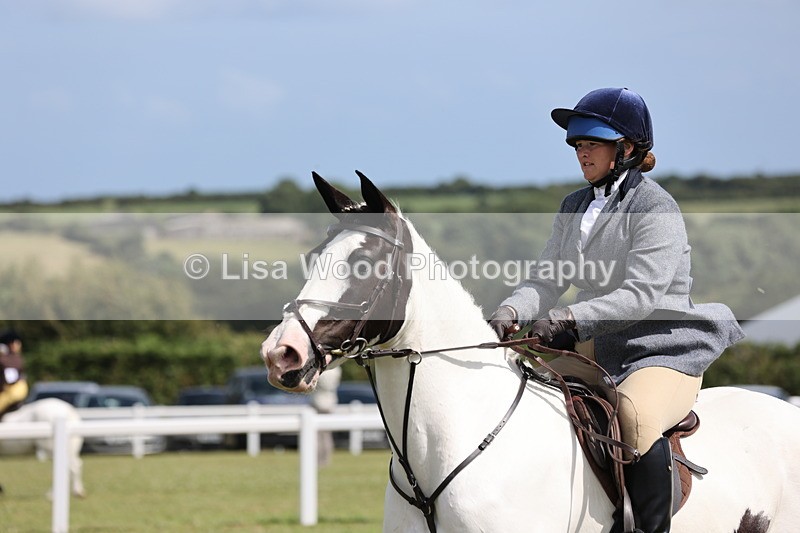 JPP_2204 - Class 19: Working Hunter 60cm