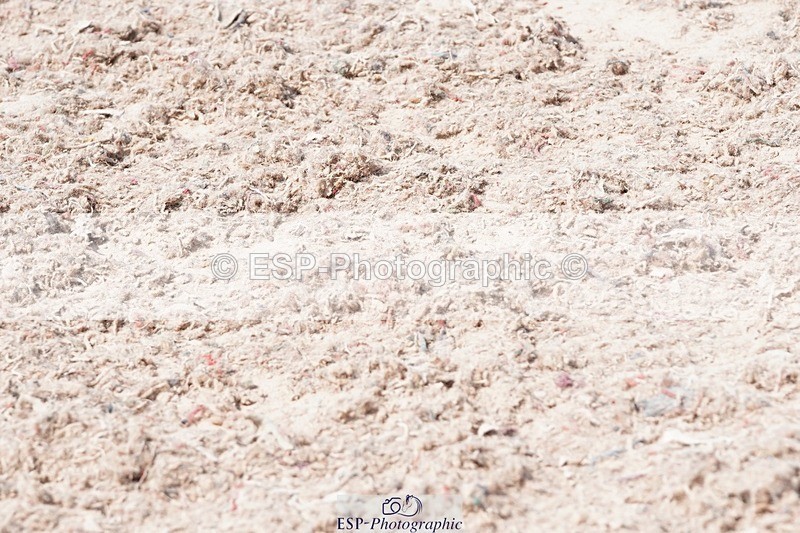 250503-114044-00648 - Cls 21+22 Club and Schools 80cm