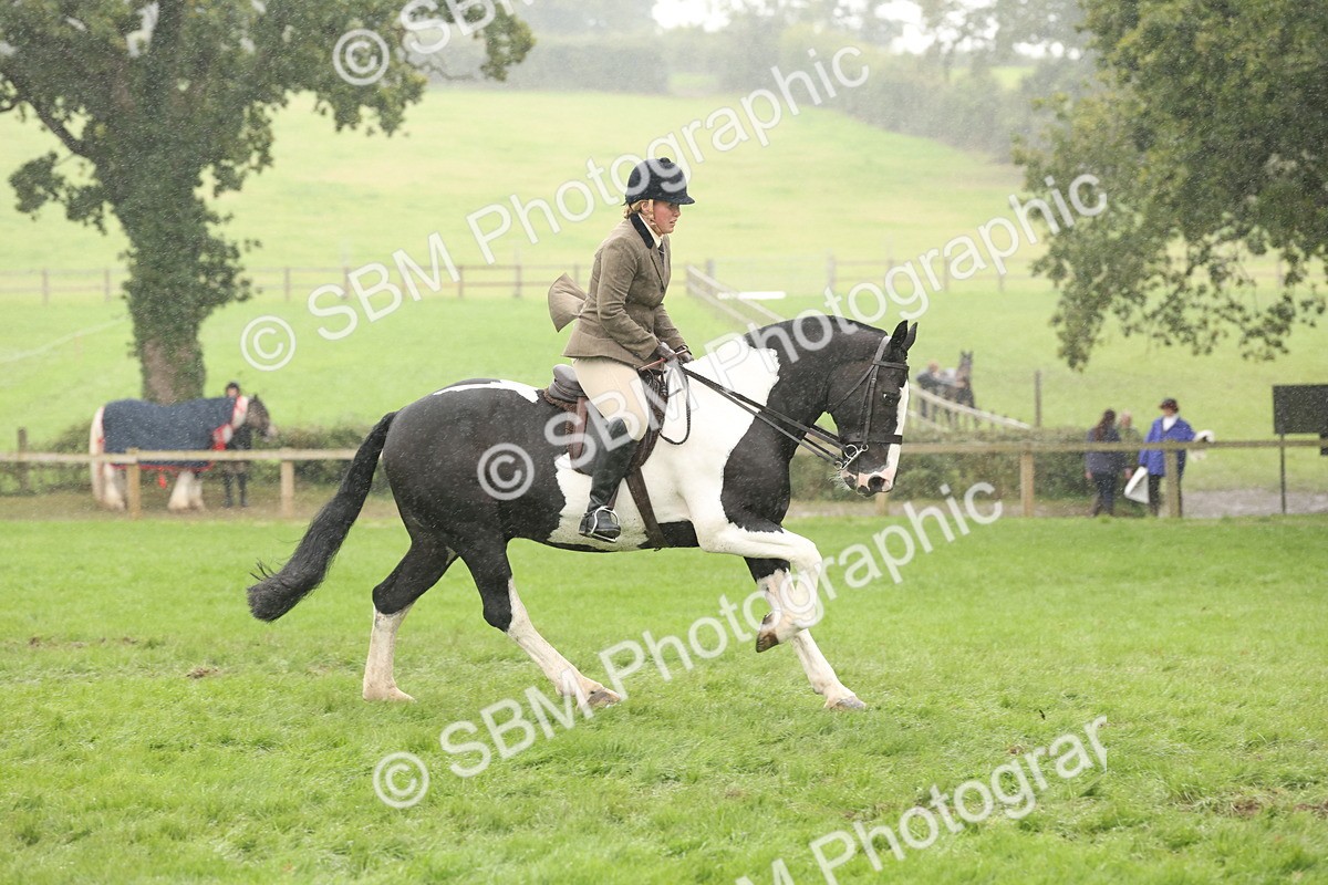 SBM_69810 - S69 - Show Cob Ridden