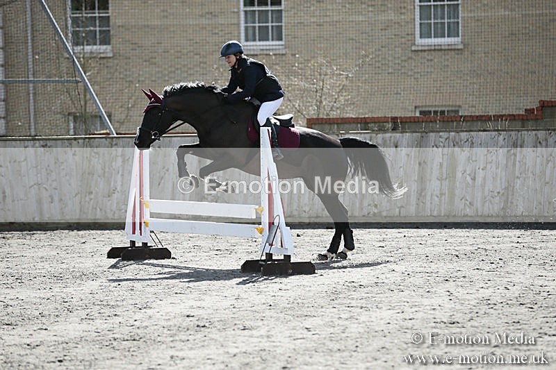 BVRC SJ 170319 320 - Bourne Valley Riding Club Showjumping 17/03/19