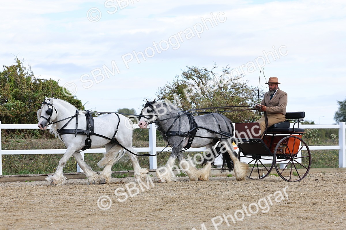 SBM_001192 - Class 16 - Pairs ,Multiples and Tandems