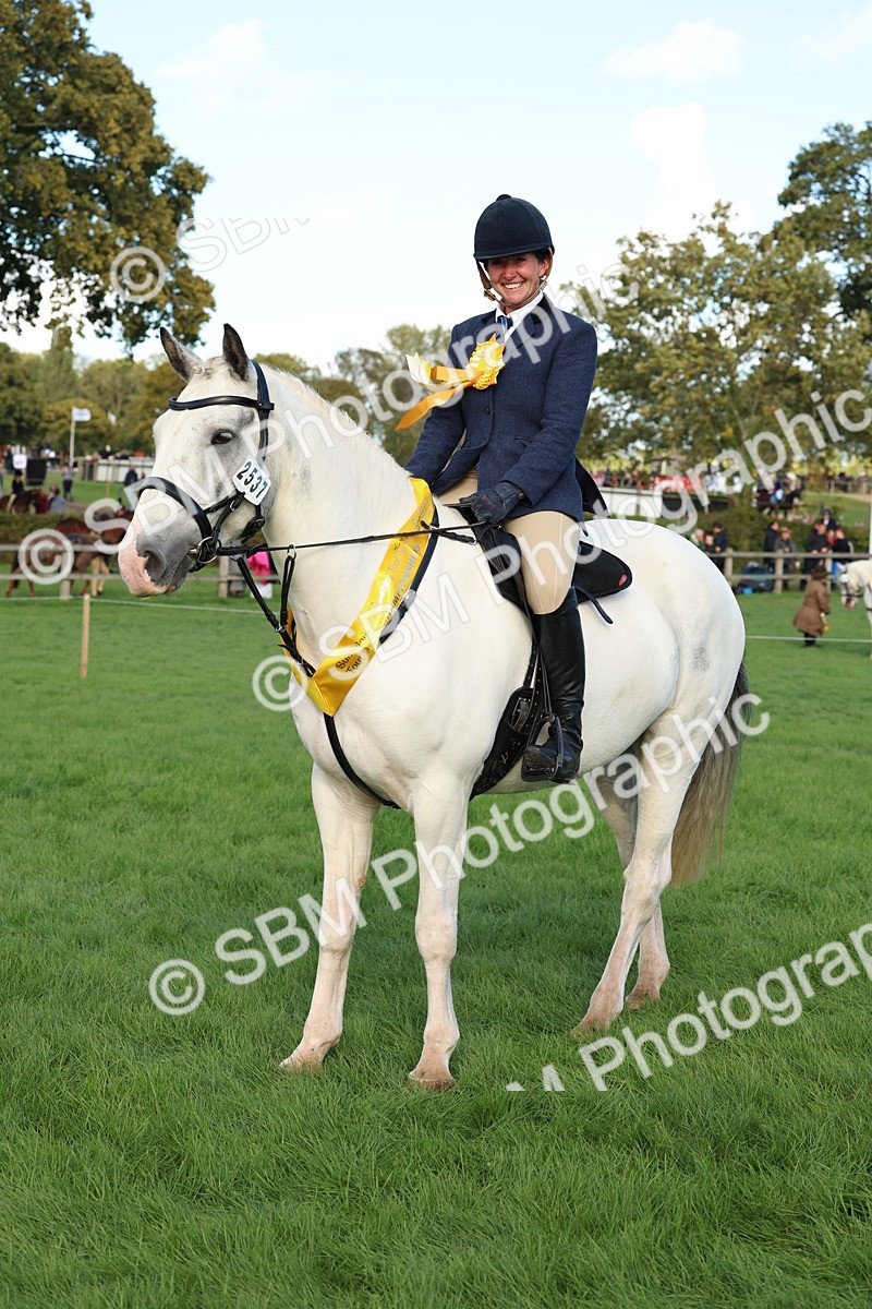 SBM_50185 - S34 - Novice & Newcomers Working Hunter