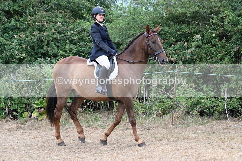 WJ7_0761 - Class 7 Riding Club Show Horse