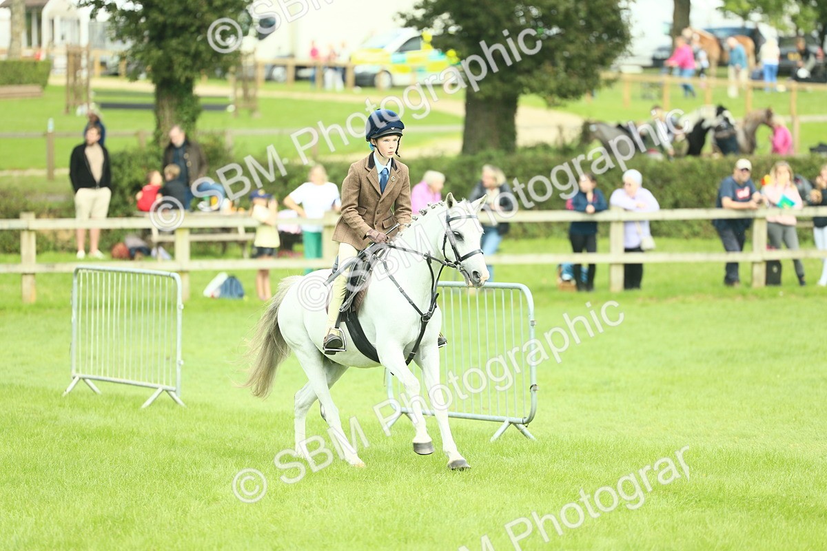 SBM_42248 - S29 - Novice & Newcomers Working Hunter Pony