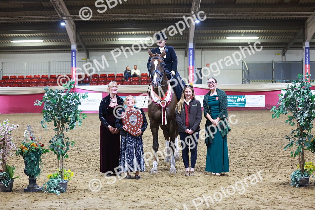 SBM_15462 - Class Q - Ridden Horse Champ