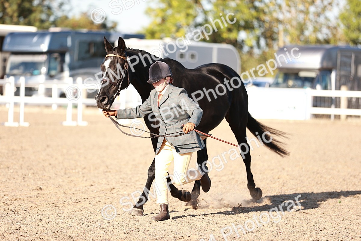 SBM_11198 - Class 401 - IH  Veteran horse