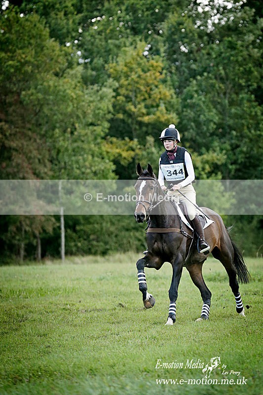 UA290919 1153a - Equestrian