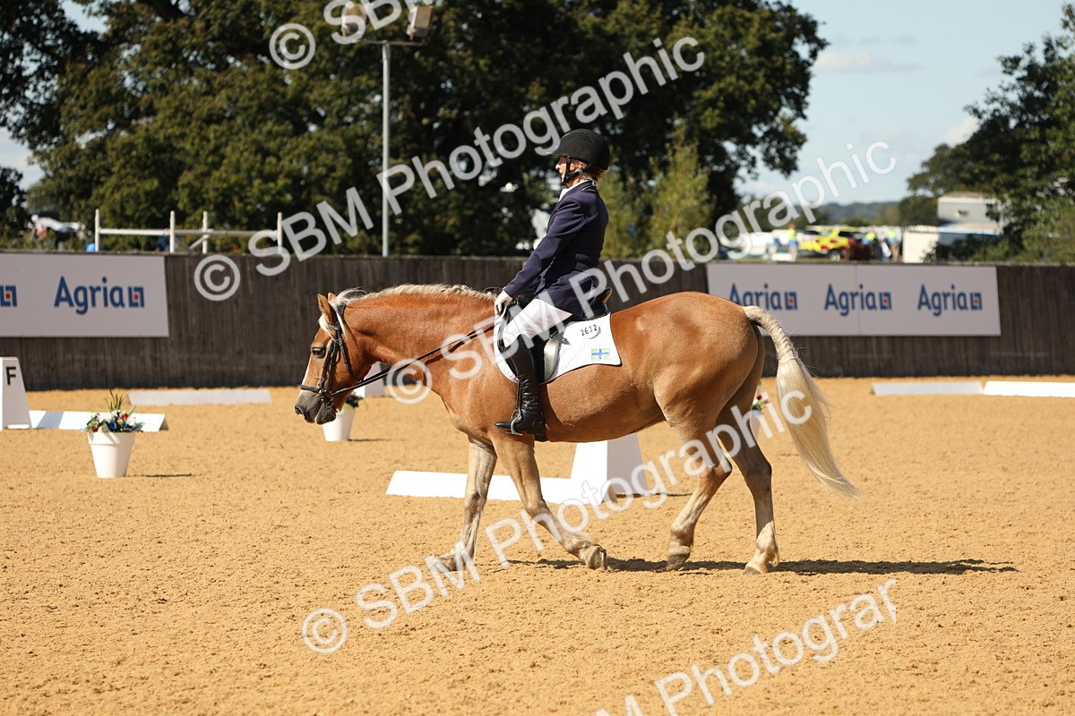 SBM_22409 - D17 - Grand Tour Championship - Novice 27