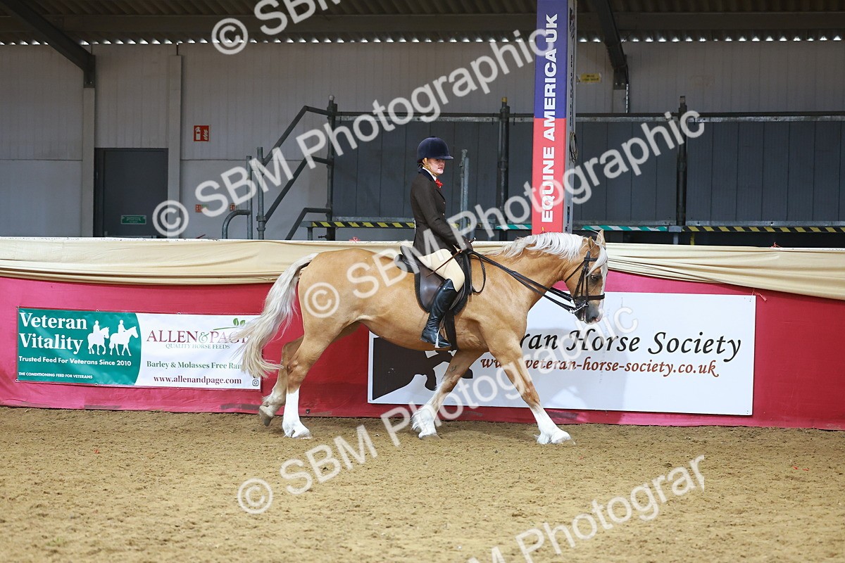 SBM_09410 - Class 102 - HOYS Veteran Qualifier - Ridden Veteran