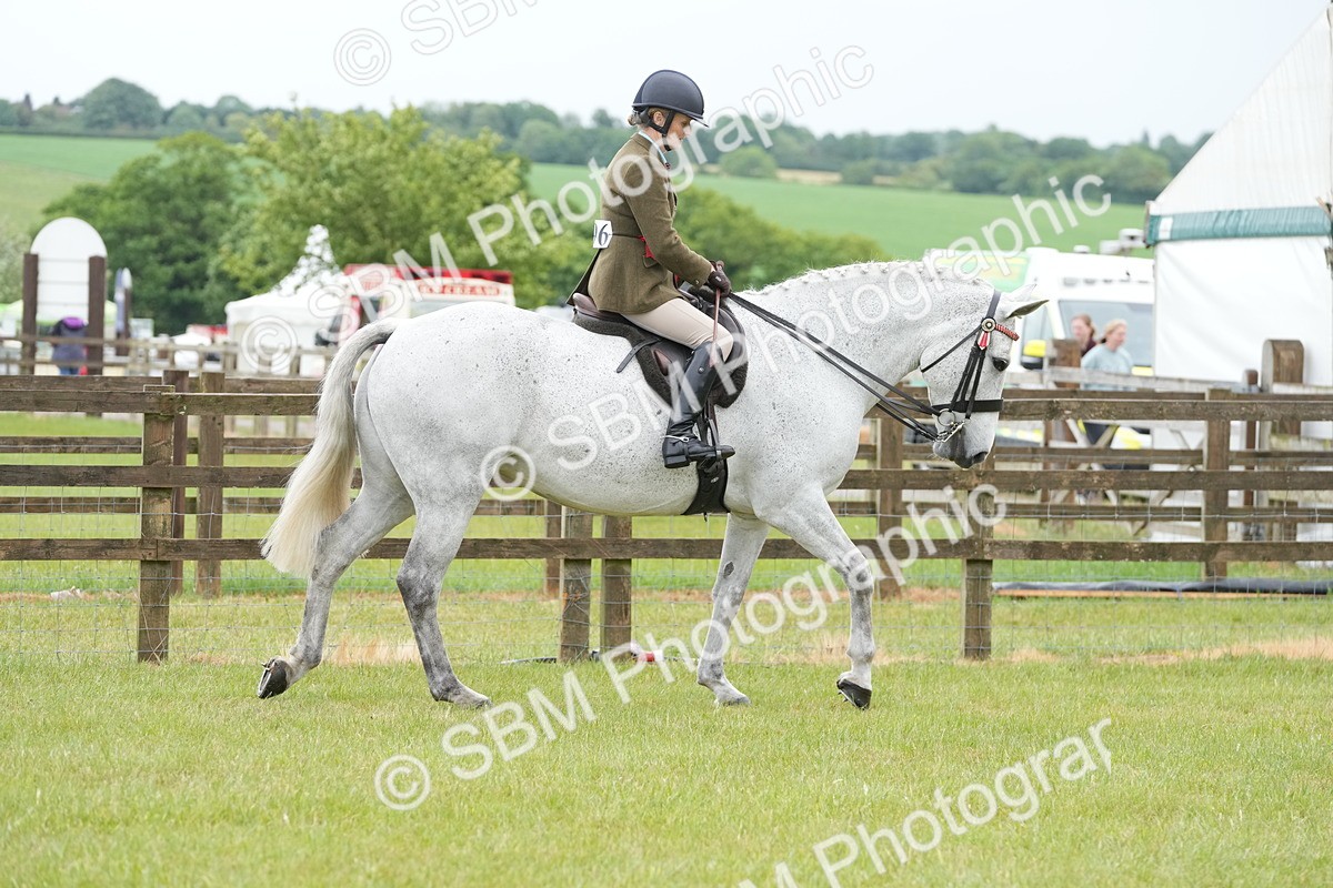 SBM_12843 - Class 97-98 - LIHS BSHA Rising Star Working Show Horse Hunter