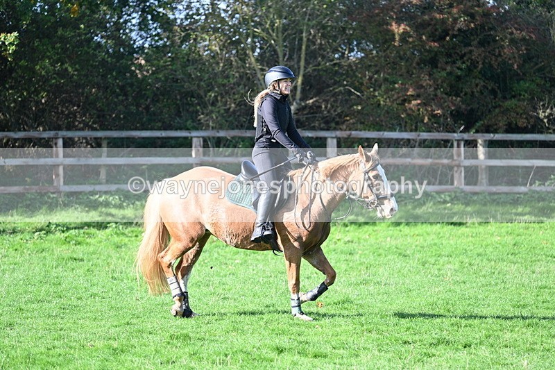 WJ7_7371 - Time 10:30 to 11:38