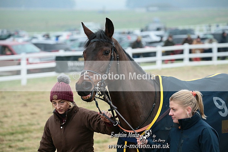 PtP 261123 33 - Hursley Hambledon Point-to-Point Larkhill 26 Nov 2023
