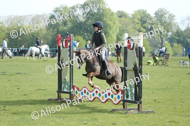20260426-0042 - Class 13 - Rookie Jumping 50cm