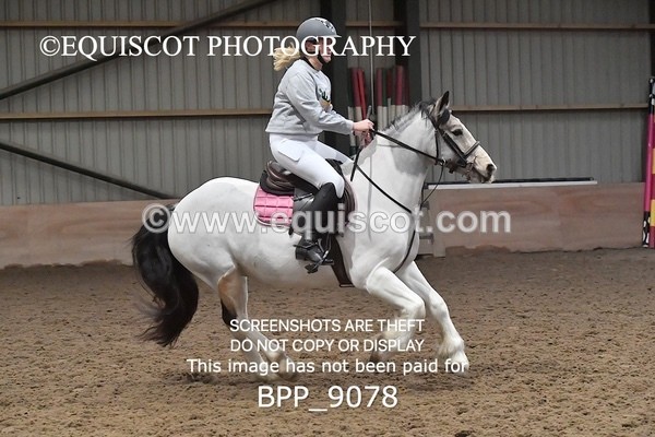 BPP_9078 - CLASS 3 50CM-70CM Pairs Show Jumping