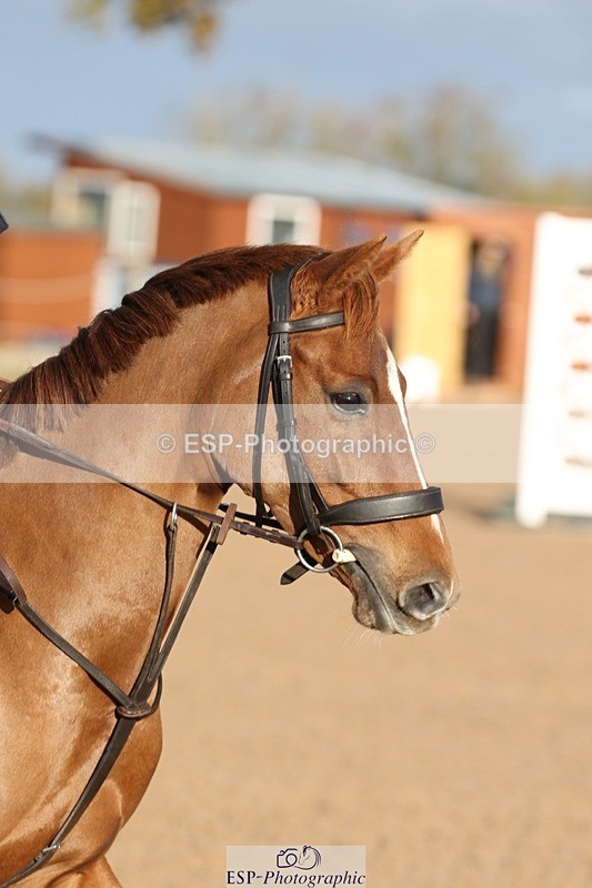 251025-093330-00720 - Cls 20 Clear Round 50cm