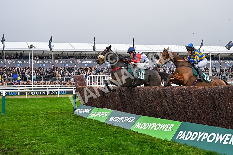 151125-Race 2-Hung Jury-2833 - Race 2