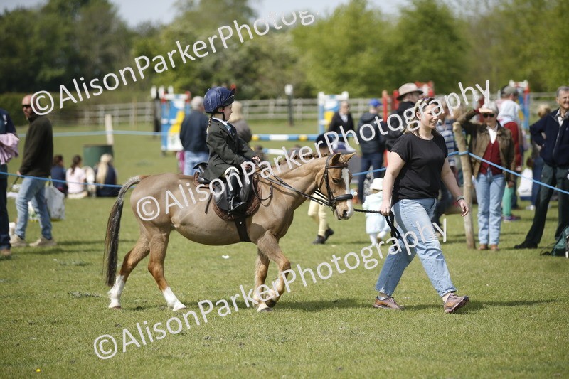 20260426-1817 - Class 7 - Pony Judge Would Most Like To Take Home